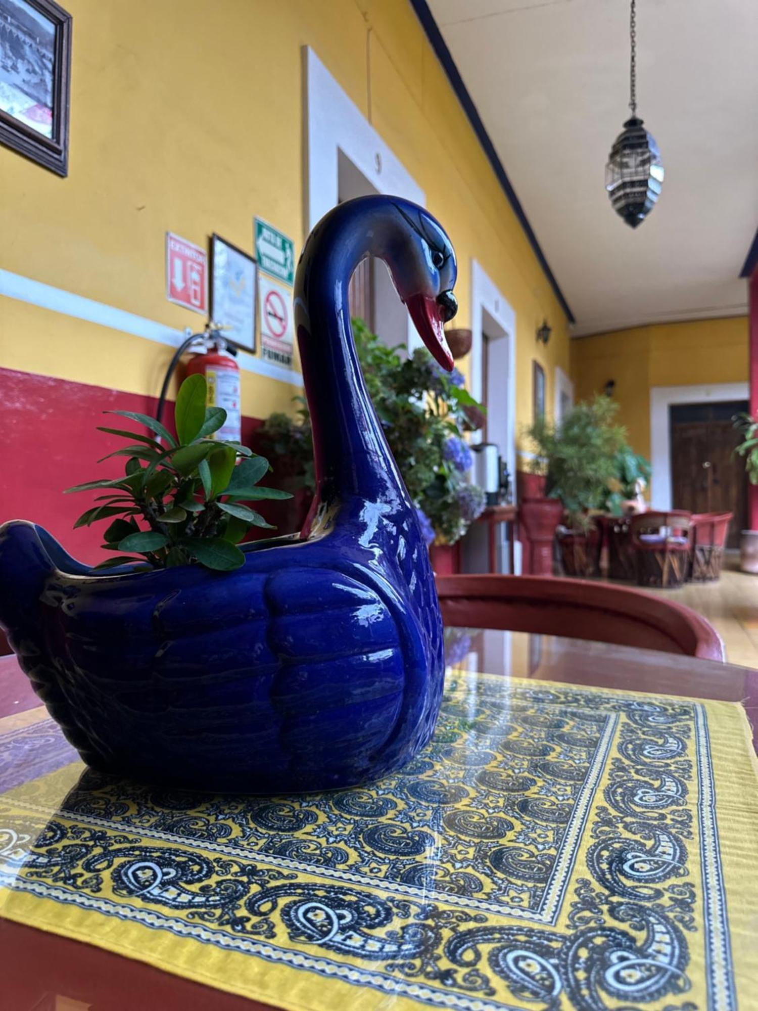 Copa De Oro Hotel Boutique ماسكوتا المظهر الخارجي الصورة