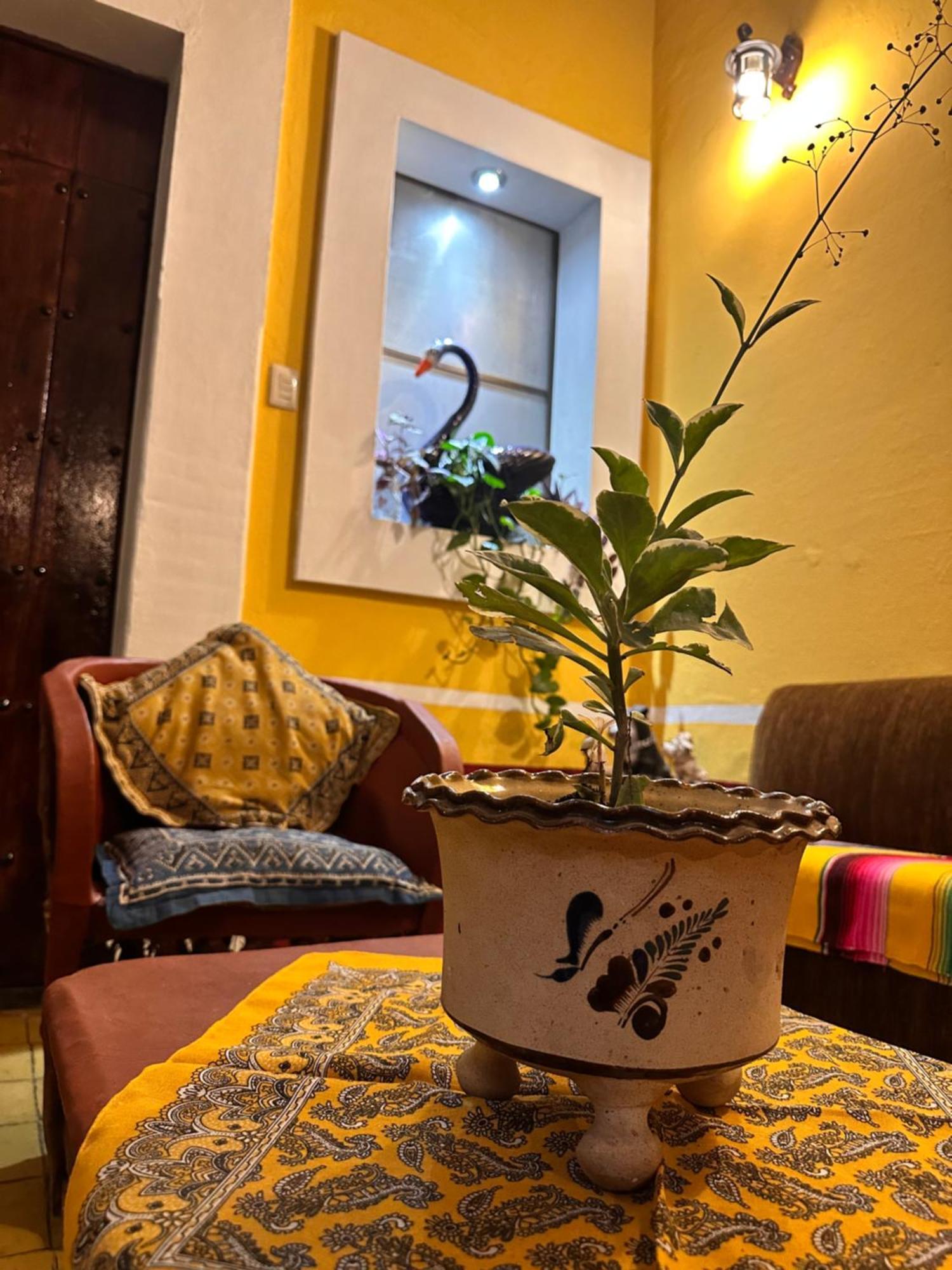 Copa De Oro Hotel Boutique ماسكوتا المظهر الخارجي الصورة