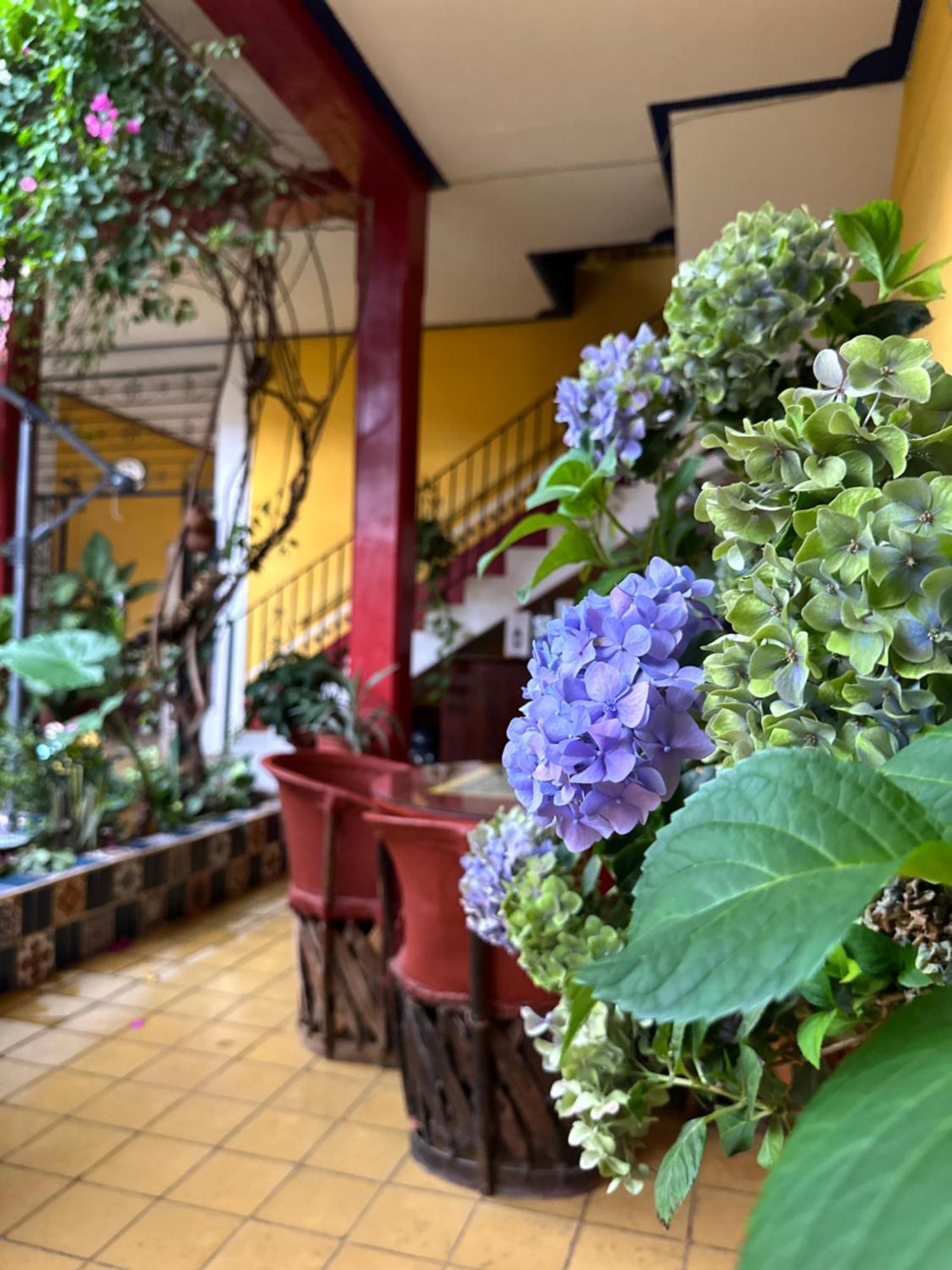 Copa De Oro Hotel Boutique ماسكوتا المظهر الخارجي الصورة