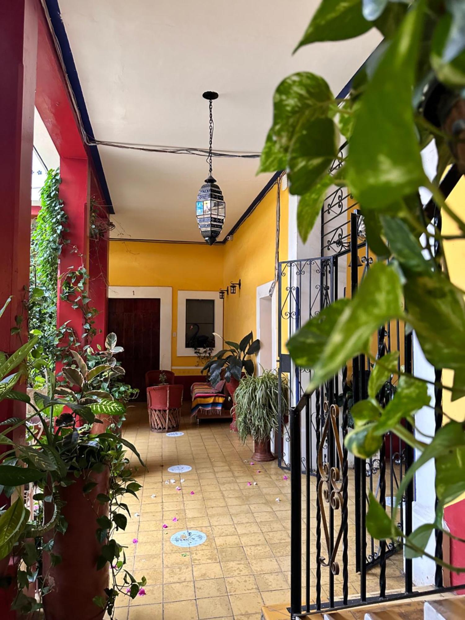 Copa De Oro Hotel Boutique ماسكوتا المظهر الخارجي الصورة