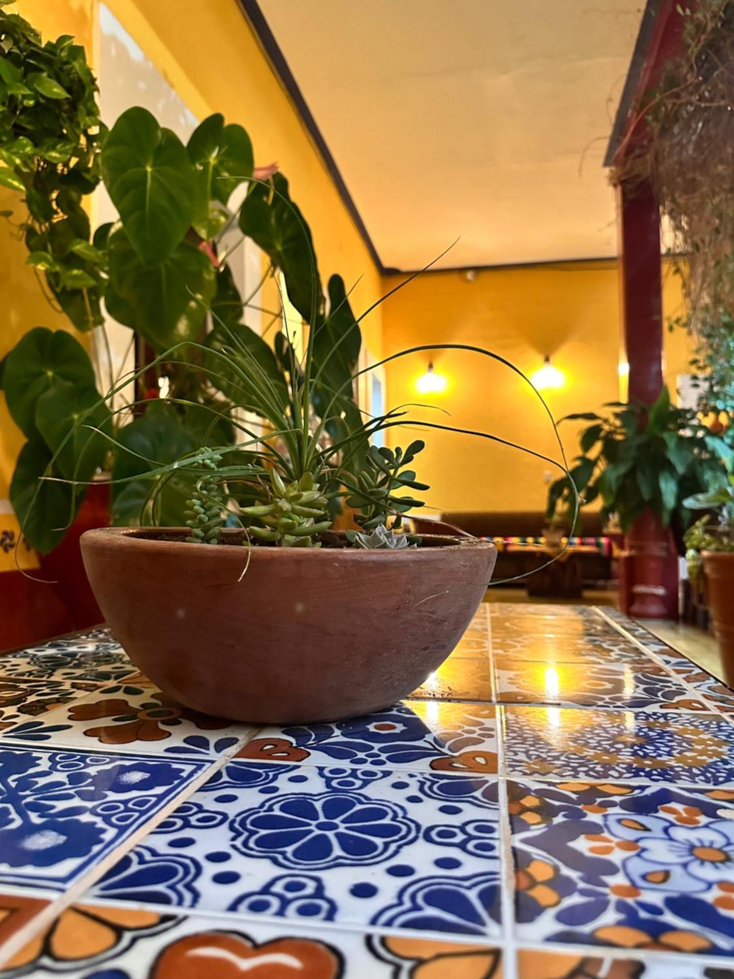 Copa De Oro Hotel Boutique ماسكوتا المظهر الخارجي الصورة